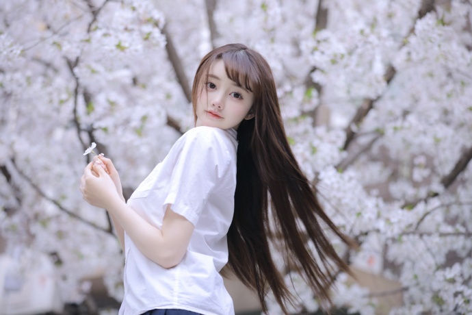 约定的梦幻岛 封面